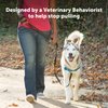 PetSafe® Deluxe Easy Walk® Dog Harness, No Pull Harness, Stop Pulling, Great For Walking and Training, Comfortable Padding, For Small Dogs- Steel/Black, Small