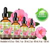 Botanical Beauty Japanese ORGANIC CAMELLIA Seed Oil. 100% Pure Natural Undiluted Refined Cold Pressed Carrier Oil to revitalize and rejuvenate the hair, skin and nails. 4 Fl. oz 120 ml