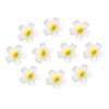 Women's Hawaiian Plumeria Flower Hair Clip Wedding Bridal Hairpin Barrette Hair Accessories - 10 Pieces