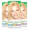 Clairol Balsam Permanent Hair Dye, 600 Palest Blonde Hair Color, 3 Count