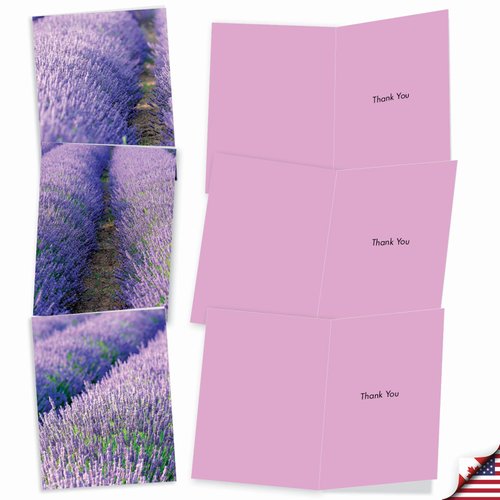 The Best Card Company 10 Assorted Thank You Notes Boxed Set 4 x 5.12 Inch with Envelopes (10 Designs, 1 Each) LAVENDER FIELDS FOREVER: 10 Assorted 'Thank You' Note Cards w/Matching Envelopes. M3017