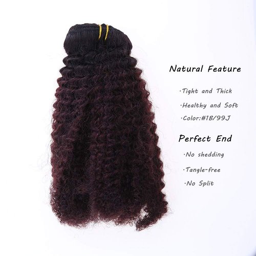 Caliee Afro Kinky Curly Clip in Human Hair Extensions Remy Natural Hair for Black Women Red Brown Blonde #1B/99j Kinky Clip ins 10 Inch/7 Pieces