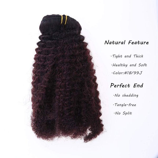 Caliee Afro Kinky Curly Clip in Human Hair Extensions Remy Natural Hair for Black Women Red Brown Blonde #1B/99j Kinky Clip ins 10 Inch/7 Pieces