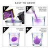 NATIONAL GEOGRAPHIC Purple Crystal Growing Lab - DIY Crystal Creation - Includes Real Amethyst Crystal Specimen