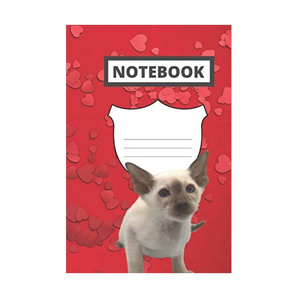 Notebook:Chocolate point kitten school notebook for kids | 6 x 9 | 120 pages