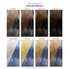 Adore Semi Permanent Hair Color - Vegan and Cruelty-Free Hair Dye - 4 Fl Oz - 199 Luxe Blue (Pack of 2)