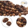 LOMBEX 150 PCS Christmas Natural Mini Pine Cones- 2CM Thanksgiving Small Pinecones Ornaments Vase Fillers for DIY Crafts, Home Decorations,Fall and Christmas,Wedding Decor (Yellow-Brown)