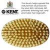 Kent Men's Oval Men Military Hair Brush, 100% Natural Black Boar Bristle for Mens Grooming Hair, Mustache and Beard, Scalp Brush, 360 Wave, Beard Straightener and Facial Brush. Made in England