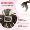 Wipsy Bangs Clip In Hair Extensions 100% Real Human Hair Bangs 360° Coverage Fake Bangs for Women's Daily Wear Curved Style