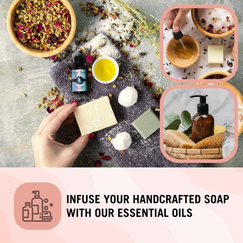 Pair (2) - Spiced Coconut Milk & Red Currant & Cream - Premium France Oil Pair - 10ML