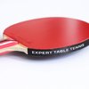 Palio Master 3.0 Table Tennis Racket & Case - ITTF Approved Intermediate Ping Pong Bat