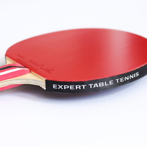 Palio Master 3.0 Table Tennis Racket & Case - ITTF Approved Intermediate Ping Pong Bat