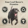 Four Leaf Rover Turkey Tail Mushroom for Dogs - Whole, Organic Mushrooms - Tested High in Critical Beta-Glucans - No Grains or Fillers - 60 Day Large Dog Supply