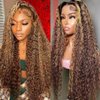 Labamiya Highlight Jerry Curly Human Hair Wig 4x4 T Closure Glueless Wigs Human Hair Pre Plucked Pre Cut Lace Closure Glueless Wigs Elastic Band 200% Density P4/27 Honey Blonde Color