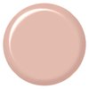 LeChat Nobility – Gel Polish & Nail Lacquer Set - Collection 2-5oz (Delicate Peach NBCS078)