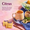 Yogi Tea Lemon Ginger Tea - 16 Tea Bags per Pack (6 Packs) - Organic Ginger Root Tea to Support Healthy Digestion - Includes Lemongrass, Lemon Flavor, Licorice Root, Lemon Peel & More