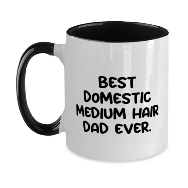 Unique Idea Domestic Medium Hair Cat Two Tone 11oz Mug, Best Domestic, Present For Cat Dad, Motivational Gifts From Friends, Domestic medium hair cat toy ideas, Domestic medium hair cat food ideas
