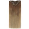 Full Shine Balayage Clip in Hair Extensions Human Hair Blonde Clip in Extensions Human Hair Color 10 Light Brown Fading to 14 Blonde Remy Clip Hair Double Weft Clip in Hair 7 Pcs 12 Inch