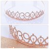 JasperKino 39th Birthday Sash and Tiara Set Rose Gold Birthday Sash Crown Birthday Party Favors Supplies for Girls Birthday Party