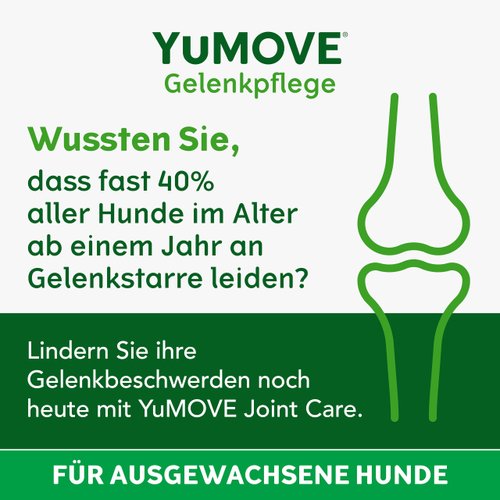 YuMOVE Hip and Joint Supplement for Dogs with Glucosamine,Chondroitin, MSM, Omega 3, Hyaluronic Acid, & Green Lipped Mussel - Joint Support Supplement - for Adult Dogs 300 Tablets