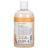 Ginger Lily Farms Botanicals Nourishing Body Wash, Coco Mango, 100% Vegan & Cruelty-Free, Coconut Mango Scent, 12 Fl Oz