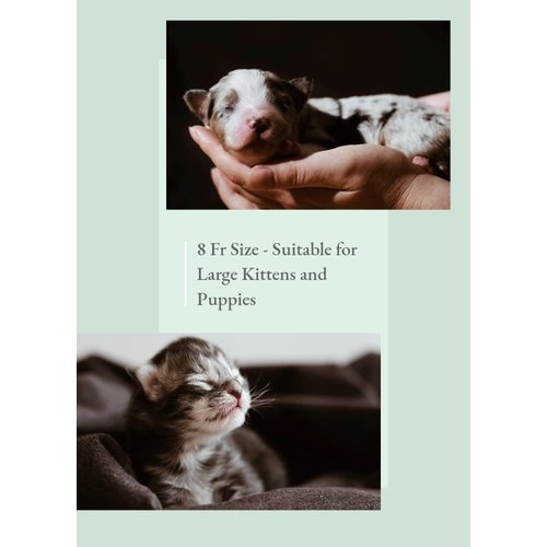 LBH Market Puppy Feeding Tube Kit/Large Kitten Feeding Tube Kit Includes 8 FR Kendall 8 French Feeding Tube and 35 Ml Syringe for Dog Whelping Supplies/Newborn Kitten Supplies 8 French (8 FR)