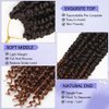 8 Packs Passion Twist Hair 14 Inch Water Wave Crochet Hair T30 Passion Twist Crochet Hair For Black Women Butterfly Style Crochet Braids Hair Extensions (Pack of 8, T30)