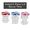 C.O. Bigelow All Purpose Salves, Variety Pack of 3 Lip Balm Tins for Chapped Lips & Dry Skin - Classic Rose, Lavender & Sakura Rose Moisturizing Lip and Skin Salves, 0.8 oz each
