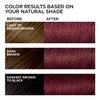 L'Oreal Paris Feria Multi-Faceted Shimmering Permanent Hair Color, 41 Crushed Garnet, Pack of 2 Hair Dye