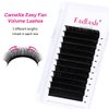 FADLASH Easy Fan Volume Lashes Multi Length Hybrid Volume Eyelash Extensions Black Self Fanning Lash Extensions Supplies (0.07-D, Camellia 10 11 12mm)