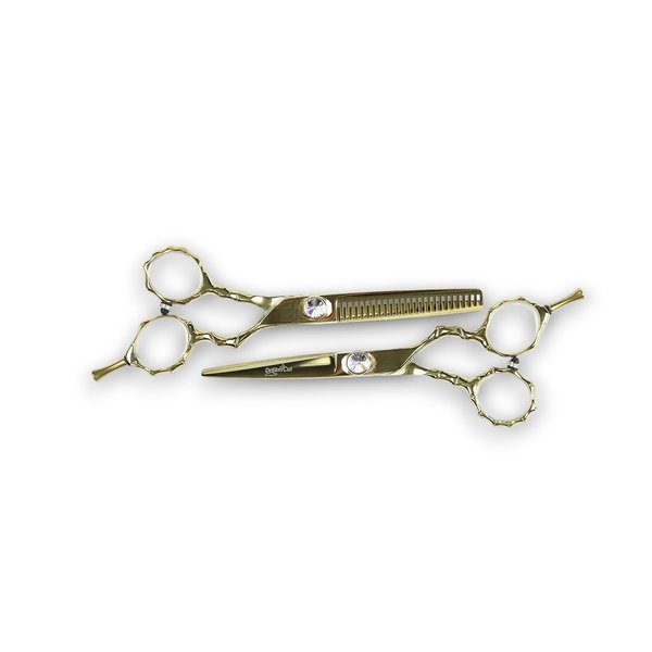 Hair Cutting Scissors, Titanium Coated 5.5" Professional Barber Hairdressing Scissors & 5.5" Thinning Shears (Gold) 440C Japanese Stainless Steel Set for Personal/Professional use by DreamCut