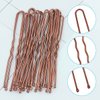 10 Pcs Brown Hair Nets Invisible with 20 Pcs U Shaped Pins, 20 Inch Individual Package Elastic Hair Mesh Nets + 2.4” U Shaped Pins Set for Hair Bun Making Ballet Dancer Kitchen Food Service Workers