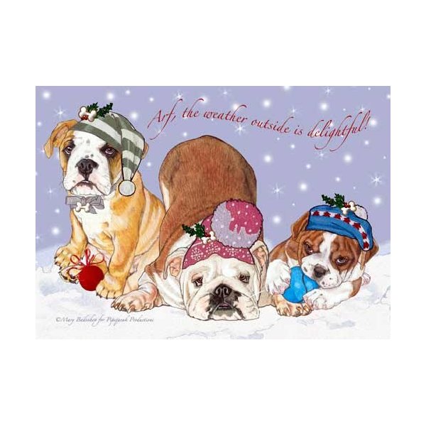Pipsqueak Bulldog Christmas Cards : 10 Holiday Cards with Red Envelopes - ADORABLE!