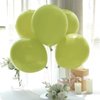 Green Balloons Arch Garland, Scmdoti Moon Green Balloons Different Sizes 18 12 10 5 Inches, Green Balloon Garland for Birthday Baby Shower Bridal Shower Wedding Jungle Party Decorations(Moon Green)