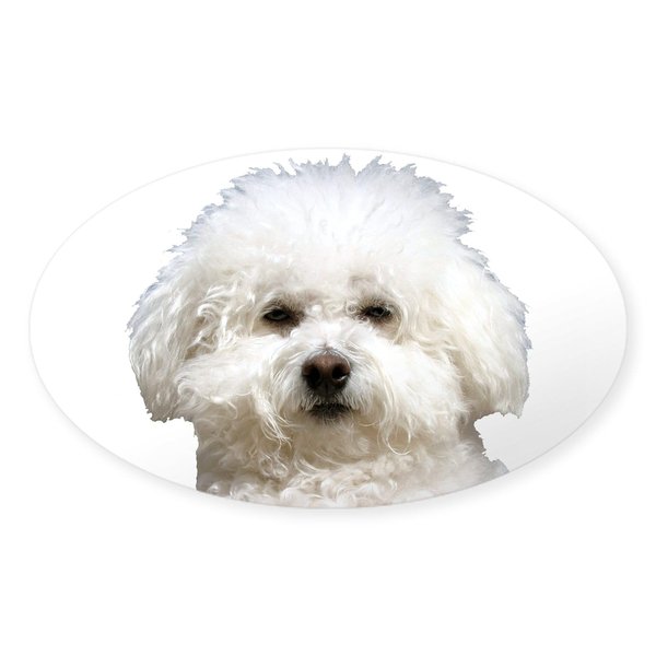 CafePress Fifi The Bichon Frise Oval Sticker Oval Car Bumper Sticker