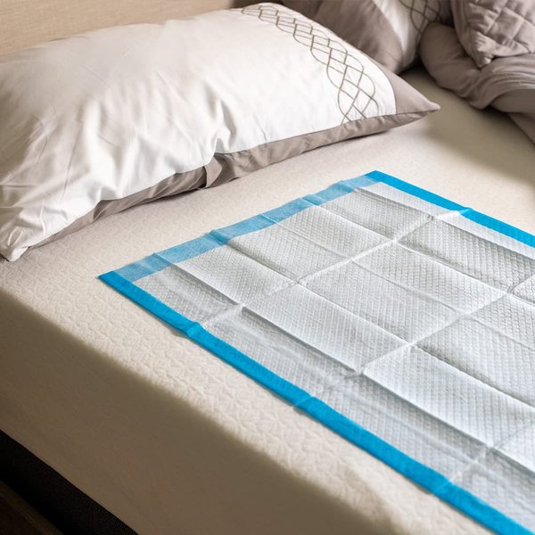 BodyMed Disposable Underpad, 23 in. x 36 in., 15 Underpads, High Absorbency – Discreet, Breathable, and Lightweight – Absorbent, Incontinence Protection for Adults and Seniors