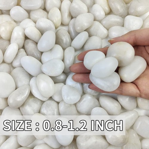 FANTIAN Small White Pebbles for Plants - 0.8-1.2 inch Decorative White River Rocks for Plants, Aquariums Rocks, Landscaping Rocks, White Stones for Planter Vase and Outdoor Garden Rocks 2 Pounds
