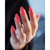 Morgan Taylor Nail Lacquer (Brights Have More Fun) Bright Orange Nail Polish, Finger Nail Polish, Long Lasting Nail Polish, Bright Orange Nail Lacquer, Finger Nail Polishes, 5 ounce
