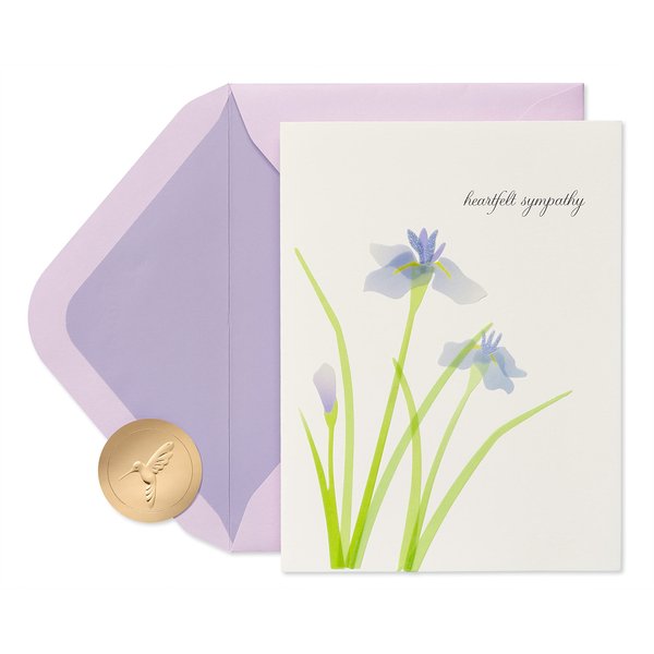 Papyrus Sympathy Card (Our Deepest Sympathy and Our Love)