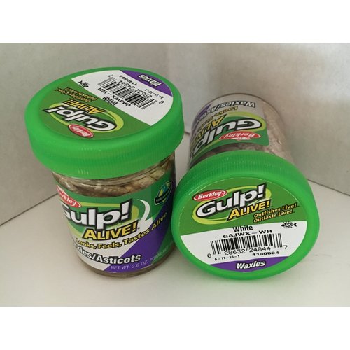 Gulp! Alive! Fishing Bait White Waxies Berkley ice Fishing Bait Larvae panfish Bait Spikes 2 jar Bundle Fishing Worms Cold Water Bait
