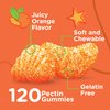 Kids Vitamin C Gummies with Echinacea - Immune Support for Kids, Toddlers, & Teens - Vegan, Gelatin Free, Gluten Free, GMO Free - Tasty Chewable Orange Flavored Kids Immunity Gummy