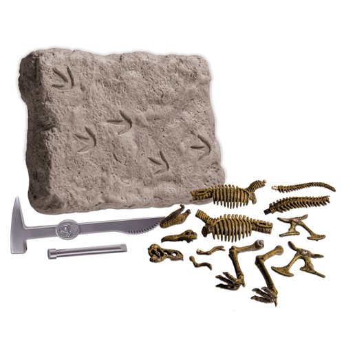 Wonderology – Science Kit – Fossil Discoveries