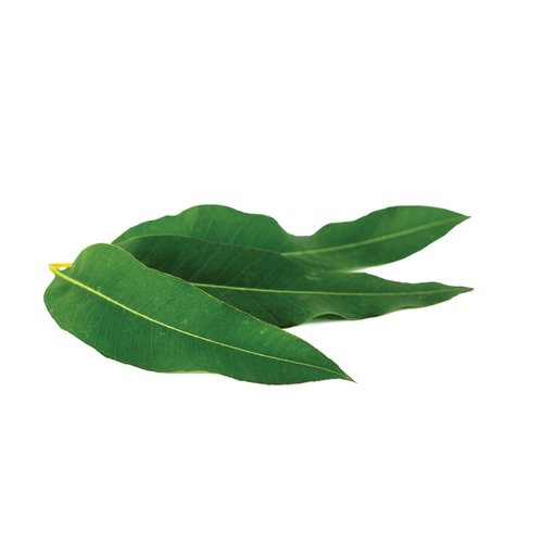 L'Oréal Paris Skincare Pure-Clay Face Mask with Eucalyptus for Oily and Shiny Skin to Purify and Matify, 1.7 Ounce (Pack of 1)