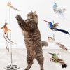 Any Surface Base Cat Wand Toy For Indoor Cats Toys For Boredom Wire Cat Toy Feather Wand Cat Toy Feather Cat Teaser Wand Birds Flying Bird Cat Toy Perfect For Home Alone Cat Toys Self Play Lure