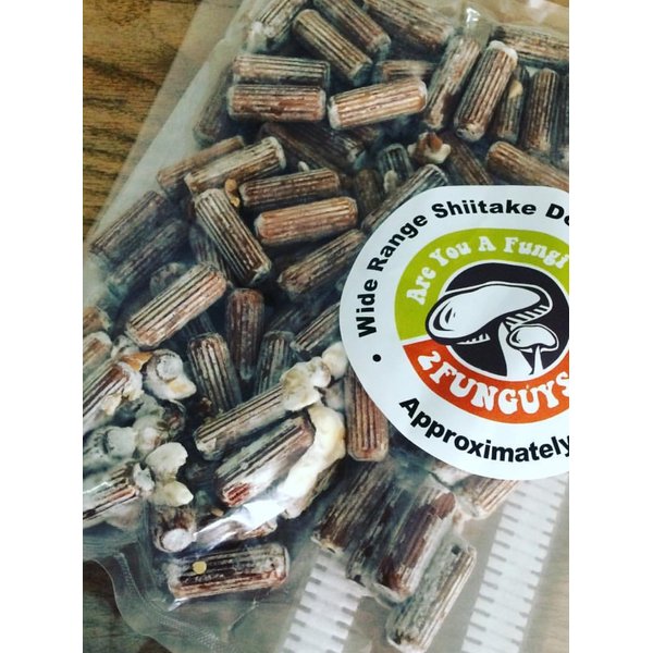100 Shiitake 100 Mushroom Plug Spawn Edible Mycelium Plugs