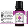 Plant Therapy Chakra 7 Higher Connection (Crown Chakra) Essential Oil Blend 10 mL (1/3 oz) 100% Pure, Undiluted, Therapeutic Grade