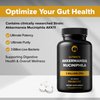 Akkermansia Muciniphila Probiotic Supplement 3 Billion CFU 240 Tablets Probiotics for Men & Women Supports Digestive & Gut Health (240, Akkermansia Muciniphila)