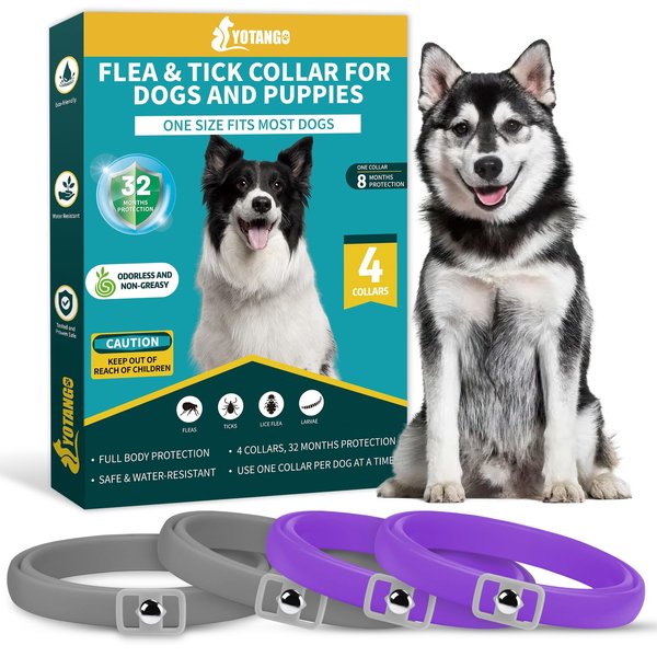 4 Pack Flea Collar for Dogs, Dog Flea and Tick Collar 8 Months Flea and Tick Treatment Prevention for Dogs, Waterproof Adjustable Dog Flea Collar Natural Tick and Flea Collar for Dogs (Purple&Grey)