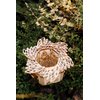 Wood Trick Mystery Flower Für Elise Wooden Music Box Kit - Keepsake & Jewelry Box - 3D Wooden Puzzle for Adults and Kids to Build - DIY