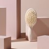 The Hair Edit Finish & Shine Travel Size Boar Bristle Hair Brush